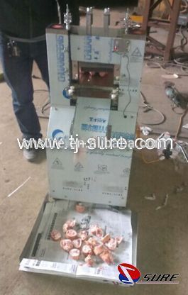 Pork/Beef/Lamb Ribs Cutting Machine