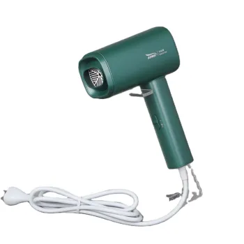 2021 New Style Hotel Professional Hair Dryer