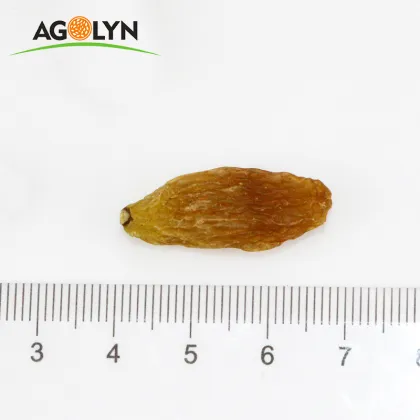 AGOLYN Natural Green Raisin Sun Dried Raisin