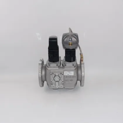 SIEMENS Gas Double Solenoid Valves - Full Range SKP15+SKP25+VGD40.080