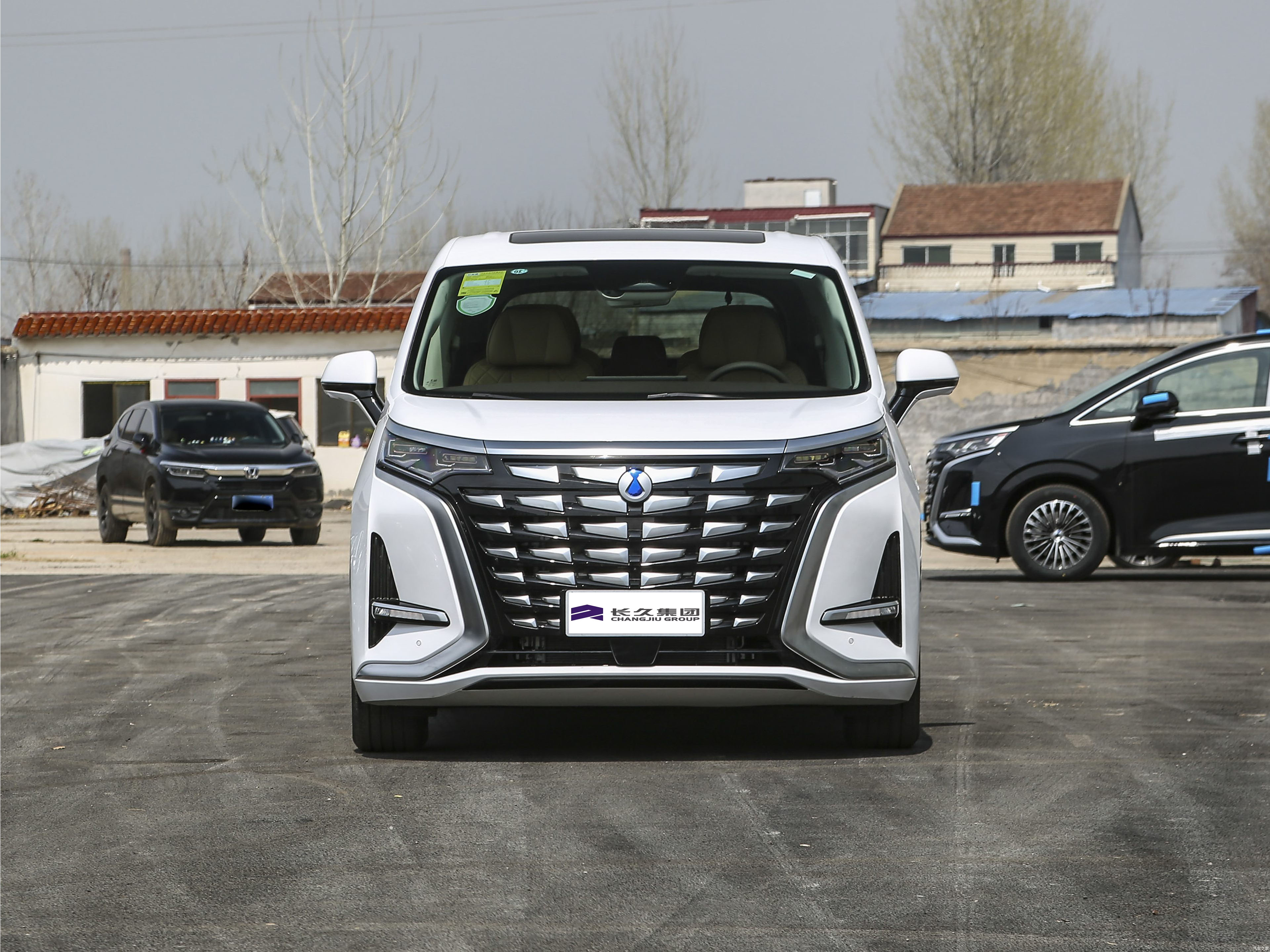 Luxury Business Electric MPV DENZA D9