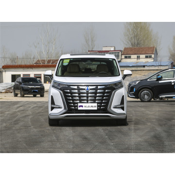 Luxury Business Electric MPV DENZA D9