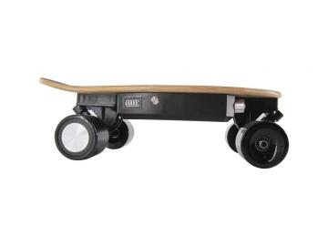 Mini Fish Electric Skateboard