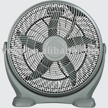 20 "Kutu Fan