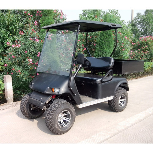 2 seats new utility golf carts for sale