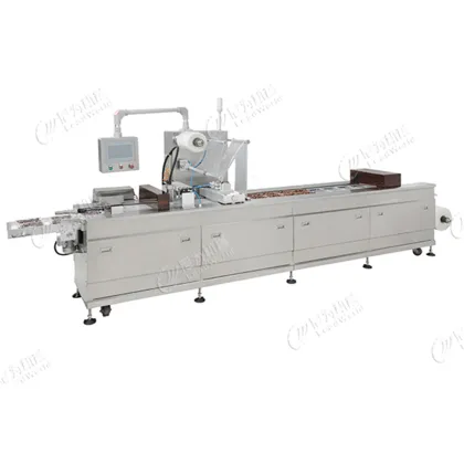Stainless Steel Thermoforming Vacuum Packing Machine for Rice and Dates