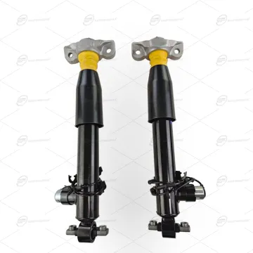 Rear Shock Absorbers Assembly Suspension Strut for LINCOLN MKZ (2013-2020)