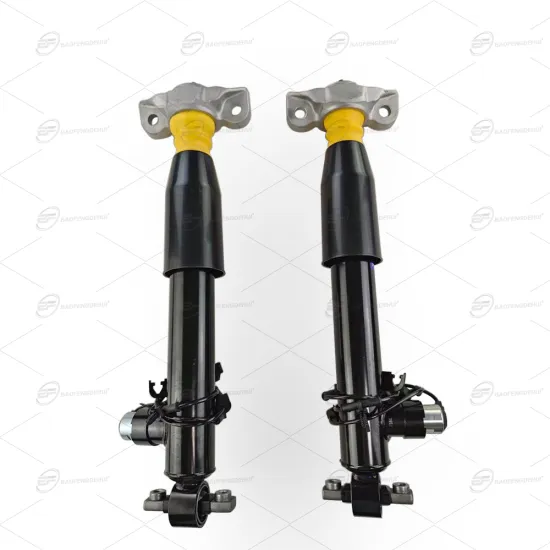 Rear Shock Absorbers Assembly Suspension Strut for LINCOLN MKZ (2013-2020)