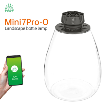 WEEK AQUA Mini7Pro-O LED Microlandscape Lighting for Glass Vases with Moss and Succulents