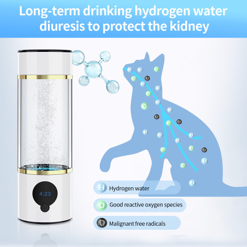 Type-C 5000ppb Hydrogen Water Generator Bottle