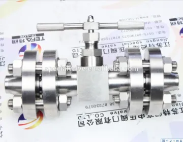 DN40 stainless steel flanged manifold needle valve