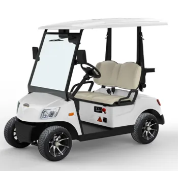 2 Passenger Golf Carts,OEM ,ODM Services
