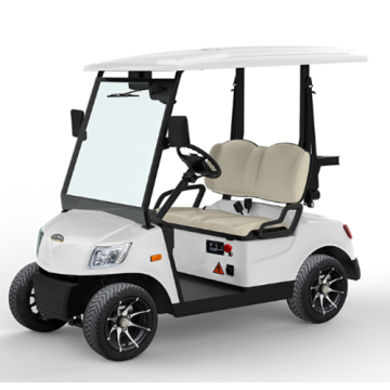 Carrello da golf elettrico a 2 posti in vendita