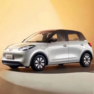 New Car for Sale Wuling Binguo EV 2023 New Electric Car Macaron Color Series