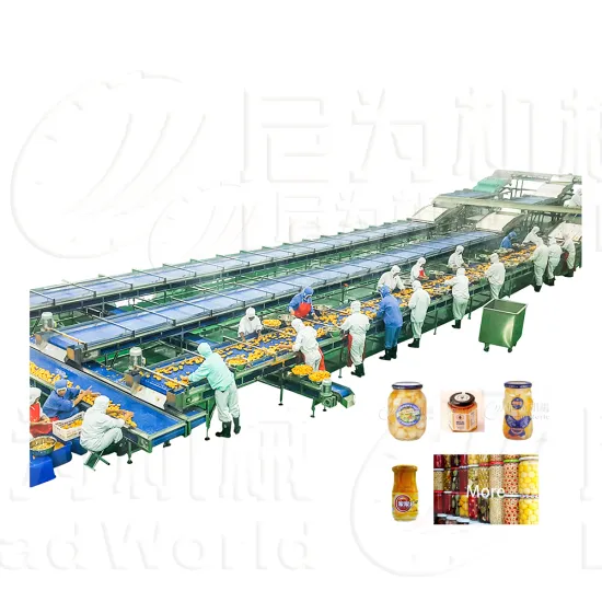LWT Complete Canned Fruit and Vegetable Processing Line