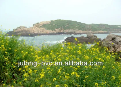 Eco-solvent glossy photo paper;indoor&outdoor photo paper;waterproof photo paper;photo paper for exhibition show