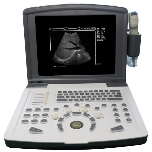 Animal Veterinary Ultrasound Machine Cheap Portable black and white Diagnostic Ultrasound scanner Factory