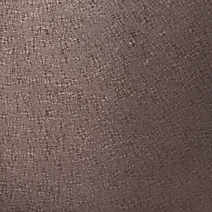 Environmentally Friendly Paint Coated Steel Aluminum