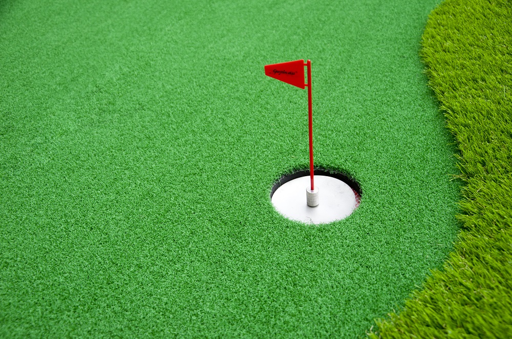 Golf Simulator With Putting Green 