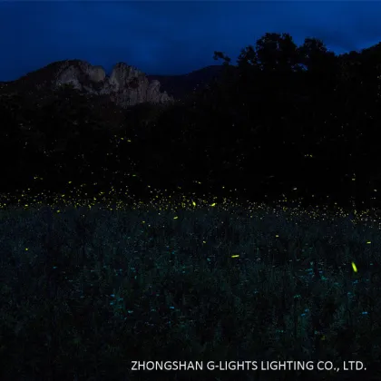 Firefly Design LED Fiber Optic Lighting