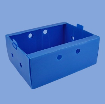 Custom PP Plastic Stackable Warehouse Corflute Collapsible Storage Boxes