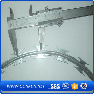 Home depot wires hot dipped razor barbed wire price for sale                
                                    Quality Assured