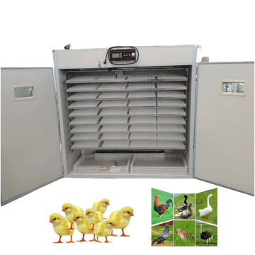 बिक्री के लिए स्वचालित अंडा इनक्यूबेटर: 220V और 12V चिकन और वाणिज्यिक उपयोग के लिए बतख अंडे इनक्यूबेटर