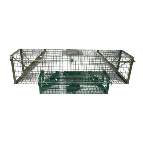 Whit Bird Cage Animal Live Trap a birdcagetrap