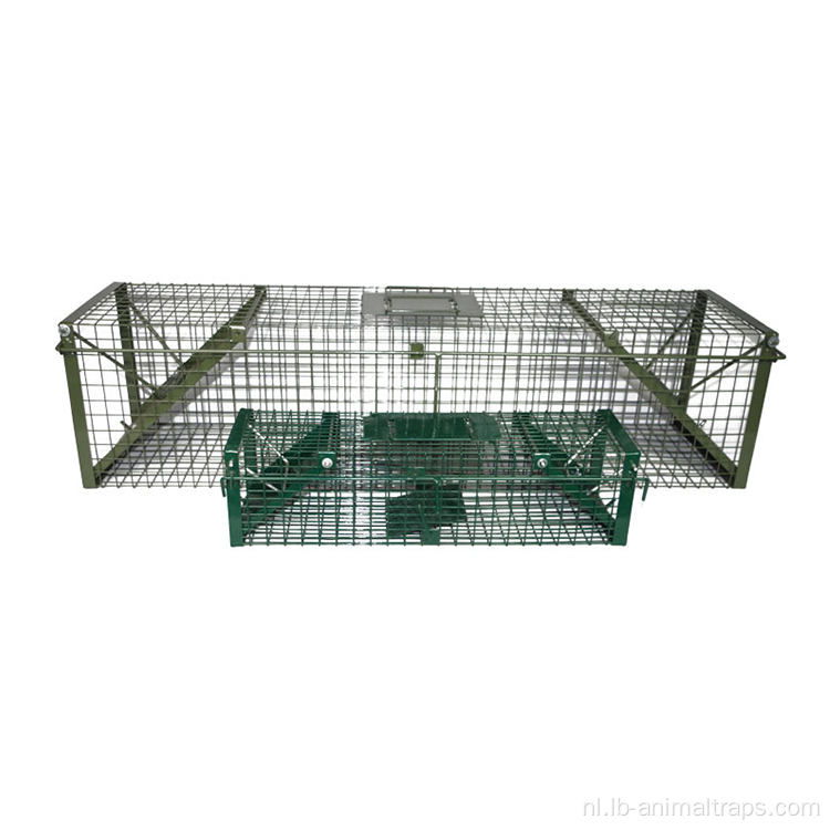 Whit Bird Cage Animal Live Trap een vogelcagetrap
