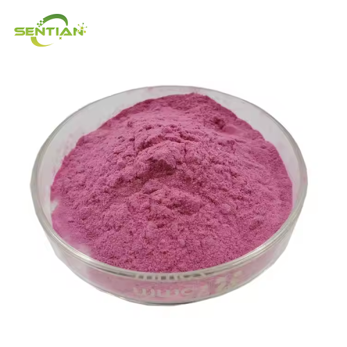 Organic Blueberry Powder Blueberry Fruit Powder
