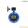 Good Quality Cast Iron Gas Water Industry Wafer Type Soft Seal Butterfly Valve: Search Engine