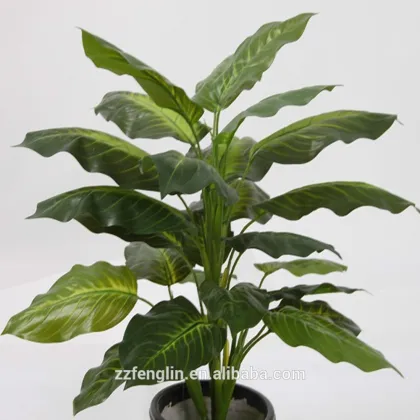 19.7" Tall Artificial Evergreen Plant Artificial Evergreen Ornamental Plants Wholesale