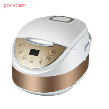 Stainless Steel Electric Rice Cooker with Multi-Function 5L Oval Shape