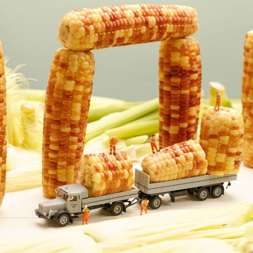 Fakty dotyczące odżywiania ekstraktu kukurydzy