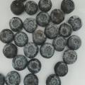 Quality Freeze Dried Blueberry