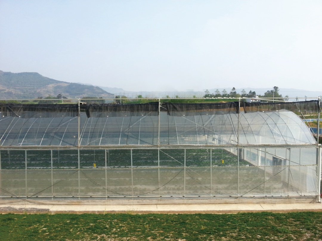 2 greenhouse film transparent