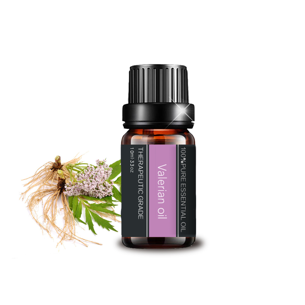 Pure Natural Valerian Essential Oil para aromaterapia cosmética