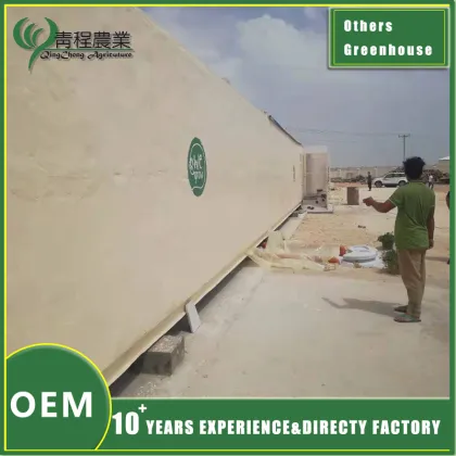 Innovative Planting Greenhouse Design for Agriculture