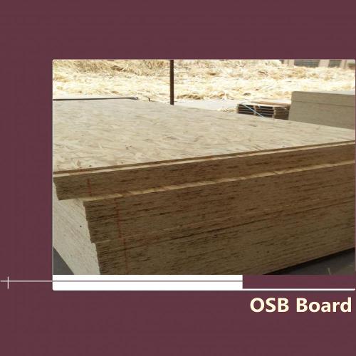 Different Sizes 30mm OSB for Construction