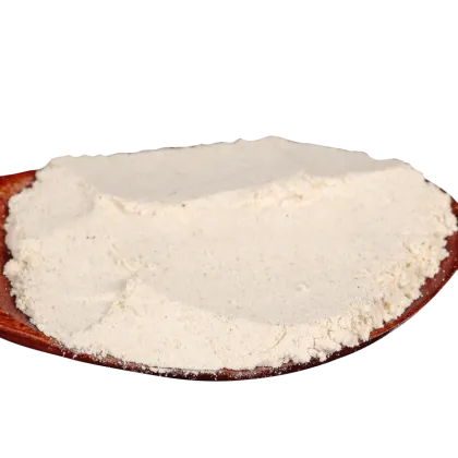 Panax Ginseng Raw Material Powder Panaxquinquefolius Powder