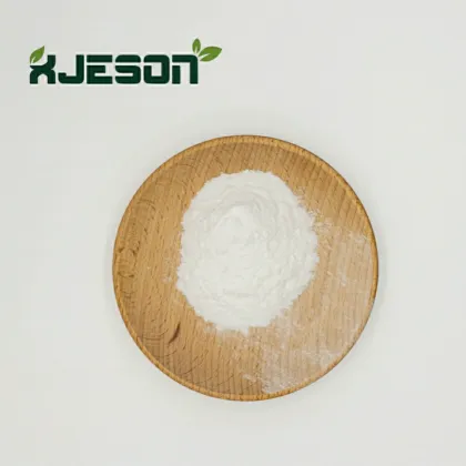 Lactobacillus Rhamnosus Probiotics Powder