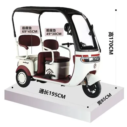 Customizable New Energy Electric Tricycles and Tuk Tuks