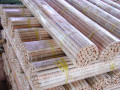 Pemegang kayu semula jadi, Broom Stick Jual