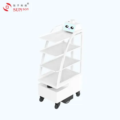 Lidar Navigation Delivery Robot