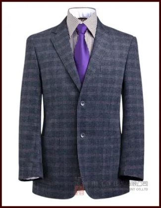Men's Suit /Business Suit (N-005)