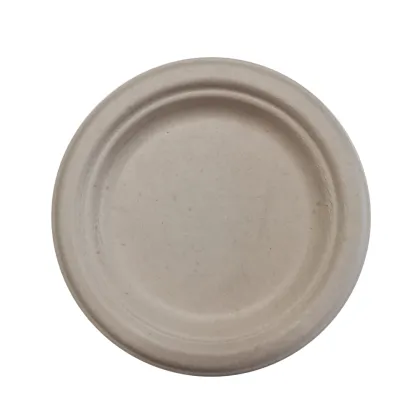 Customized party paper tableware bagasse dinner plate