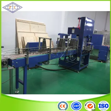 Zls-6030 Customize Available Carton Box Heat Shrink Wraping Packing Machine