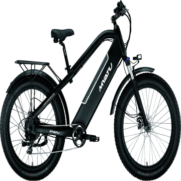 Variable speed electric bicycle