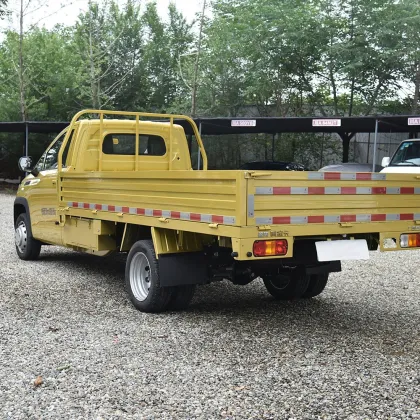 Lingshi Gold Card Pioneer Edition