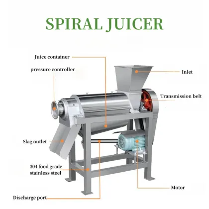 1 KW Commercial Cashew Juice Extractor: Cold Pressed Carrot Aloe Vera Juice Making Machine